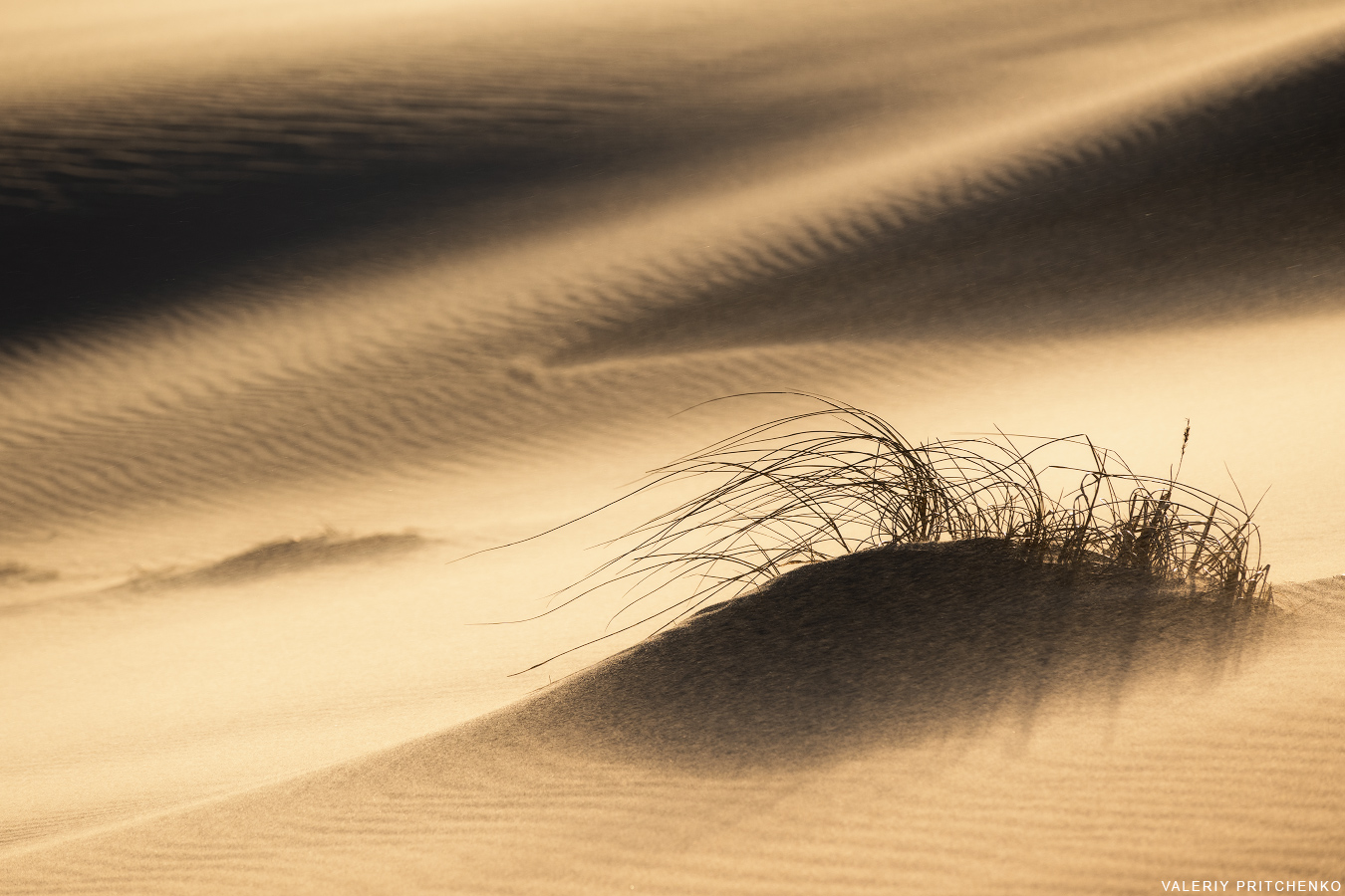 Песок и ветер. Куршская коса, Калининградская область. Февраль 2023.