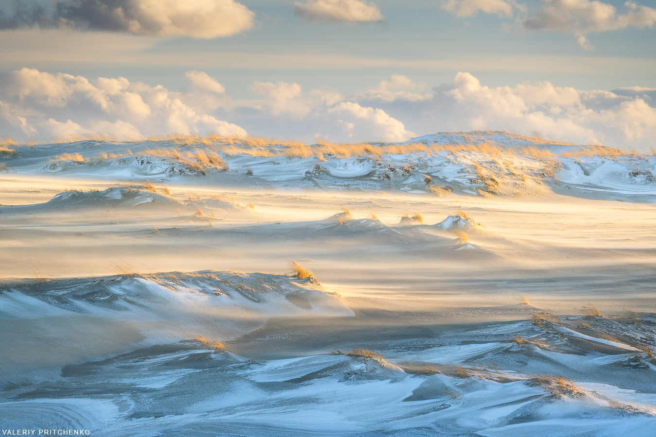 Ветер в заснеженных дюнах. Куршская коса, Калининградская область. Март 2023.