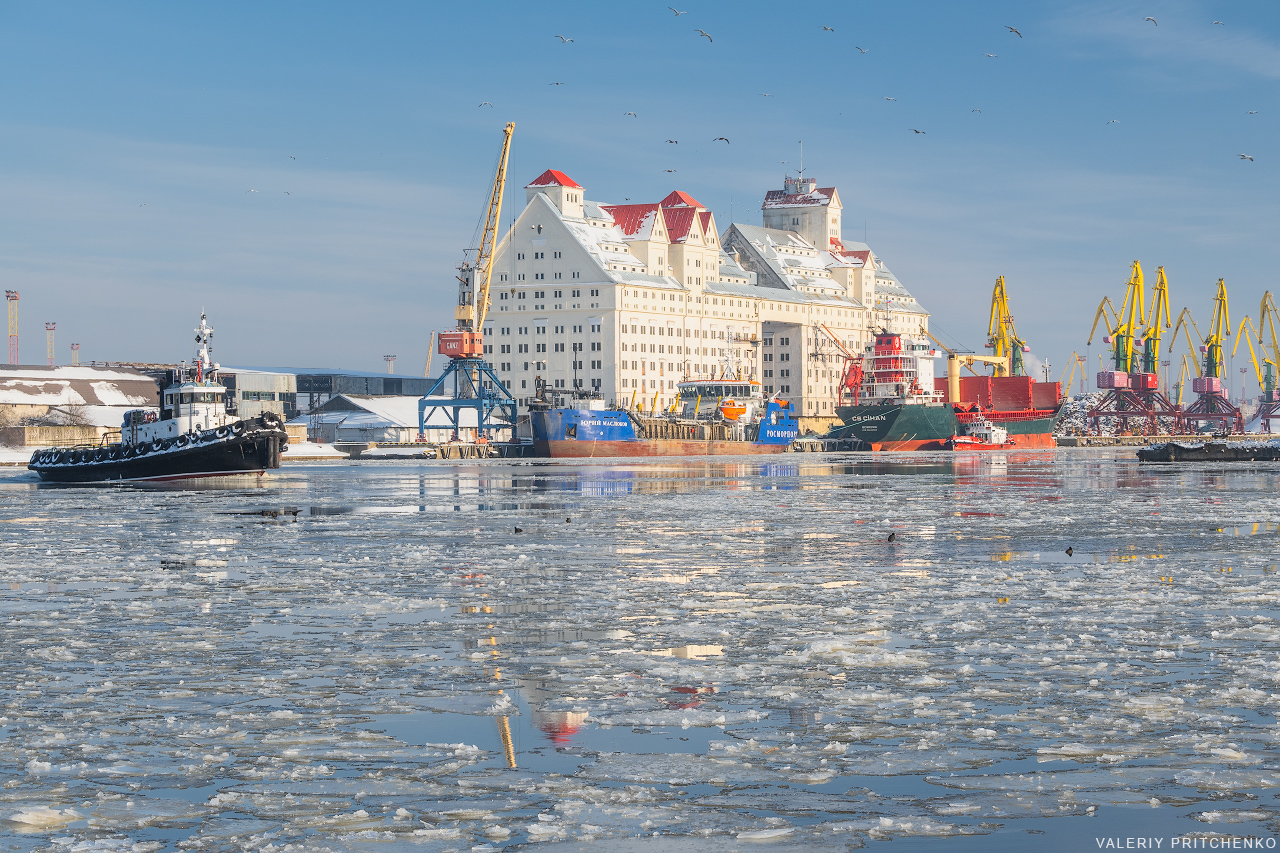 Зимний портовый пейзаж. Калининградский морской порт. Февраль 2021.