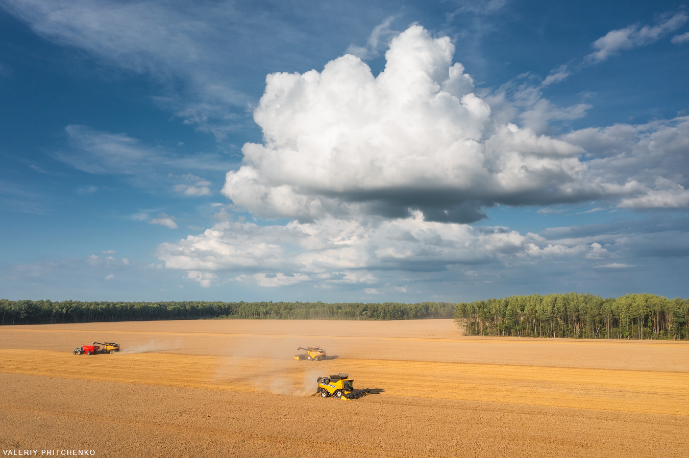 Уборка урожая пшеницы. Калининградская область. Август 2023.